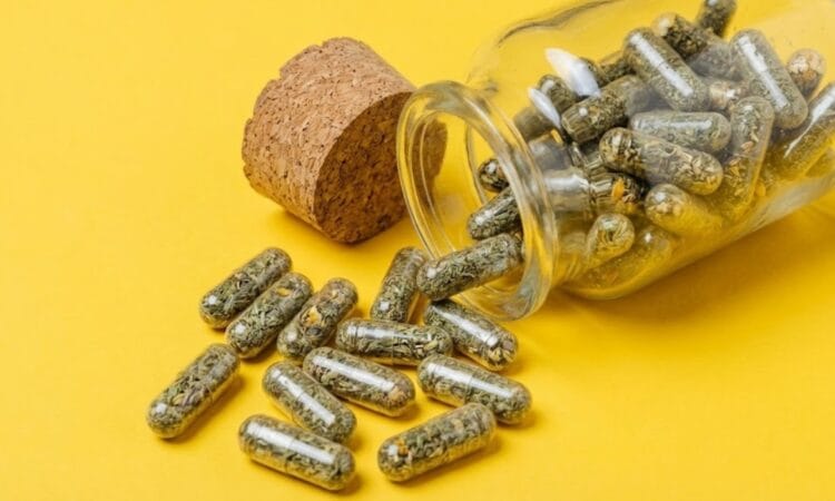 compléments alimentaires perte de gras