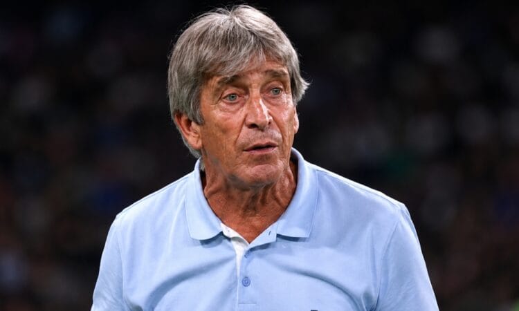 Manuel Pellegrini