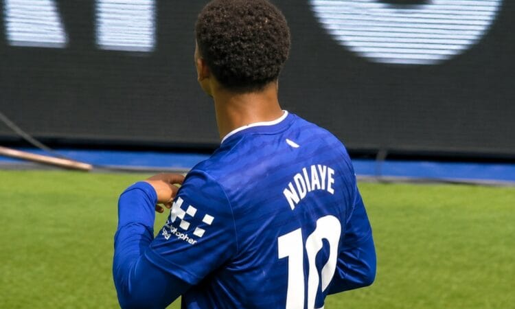 Iliman Ndiaye (Everton)