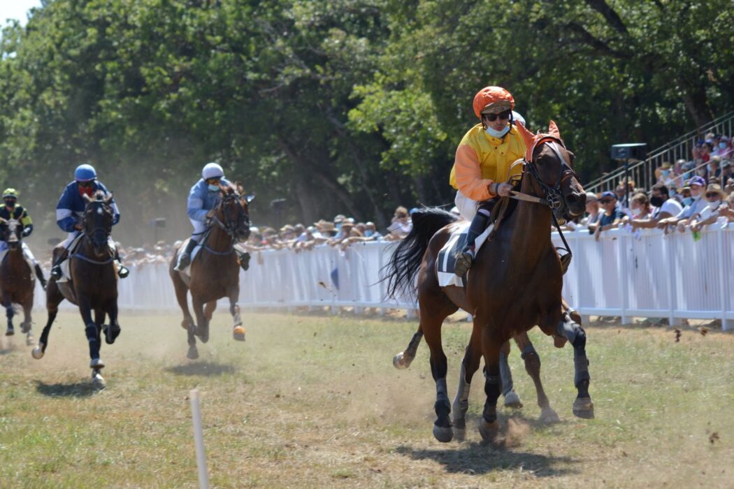 Course de chevaux avec jockeys en action et foule sous ciel ensoleillé pour parier